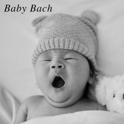 Bach Baby