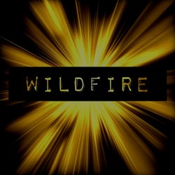 Wildfire (Nicky Rolly Remix)