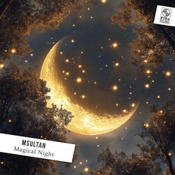 Magical Night