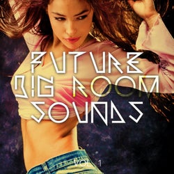 Future Big Room Sounds, Vol. 1