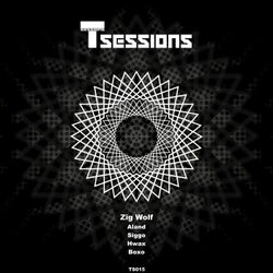 T Sessions 15