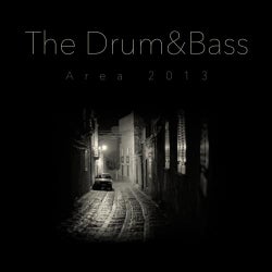 The Drum&bass Area 2013