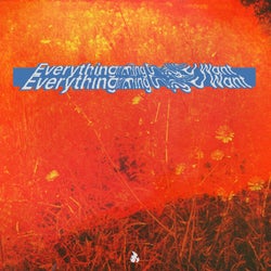 Everything U Want