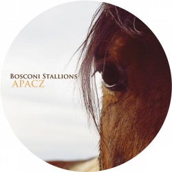 Bosconi Stallions - Apacz