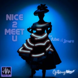 Nice 2 Meet U (feat. Ashes and Dreams)