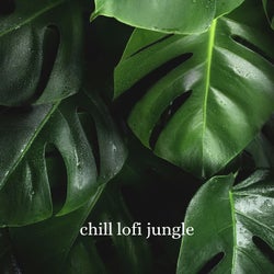 Chill Lofi Jungle