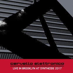 Live in Brooklyn at Synthicide 2017