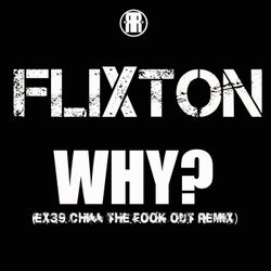 Why? (Ex39 Chill the Fook out Remix)
