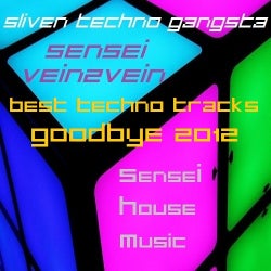 BEST TECHNO TRACKS GOODBYE 2012
