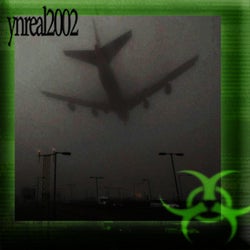 ynreal2002