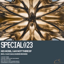 I Am Not There (incl. Vlad Caia & Guedes remixes)