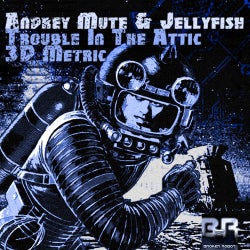Andrey Mute & Jellyfish: Trouble In The Attic / 3D Metric