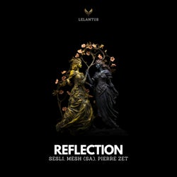 Reflections