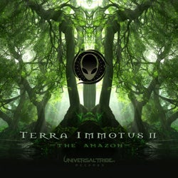 Terra Immotus 2