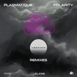 Polarity (The Viberider Remixes)