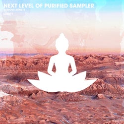 Next Level of Purified Sampler