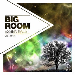 Big Room Essentials Vol. 2