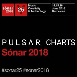 PULSAR CHARTS SONAR 2018