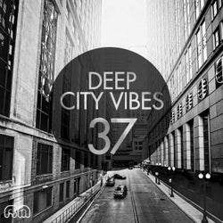 Deep City Vibes Vol. 37
