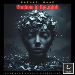 Shadow in the Mind