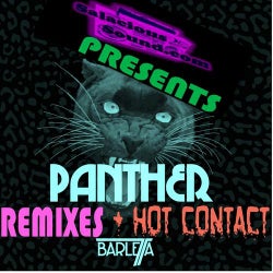 Panther Remixes / Hot Contact