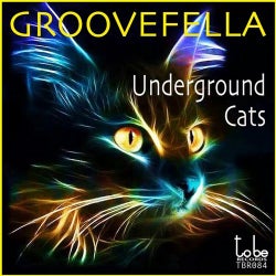 Underground Cats