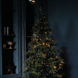 O Christmas Tree
