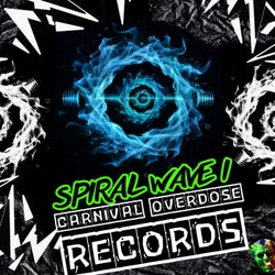 Spiral Wave I
