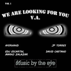 "We Are Looking For You" Chart