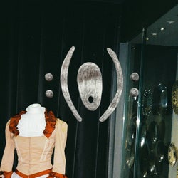IN MY WOMB