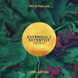 Similarities (Ravenous & Skyentist Remix)