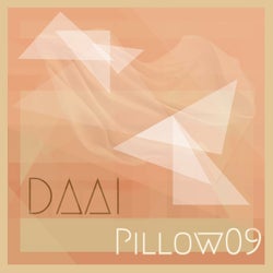 Pillow09
