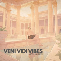 Veni Vidi Vibes