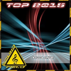 Top 2015 House