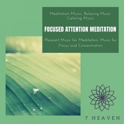 Focused Attention Meditation (Meditation Music, Relaxing Music, Calming Music, Pleasant Music For Meditation, Music For Focus And Concentration)