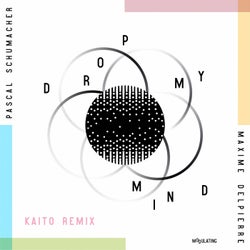 Drop My Mind (Kaito Remix)