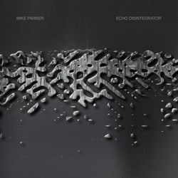 Echo Disintegrator