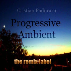 Progressive Ambient (Top 20 Tracks with Organic Sounds on Vibrant Rhythms)