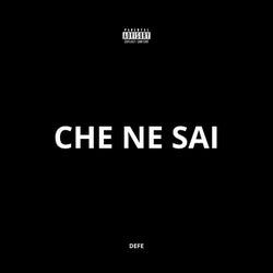 CHE NE SAI