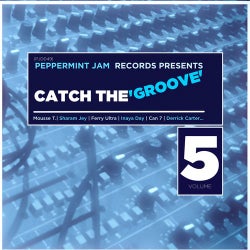 Peppemint Jam Records Pres., Catch the Groove, Vol. 5