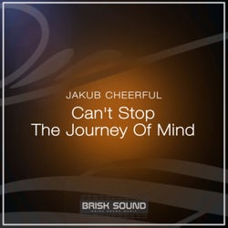 Can't Stop / The Journey Of Mind