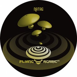 Flying Agaric 04