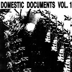 Domestic Documents Vol 1: Compiled By Butter Sessions and Noise In My Head
