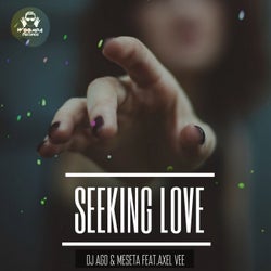 Seeking Love (Radio Edit)