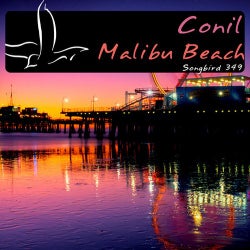 Malibu Beach