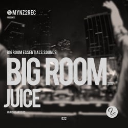 Big Room Juice (Big Room Essentials Sounds from the World)