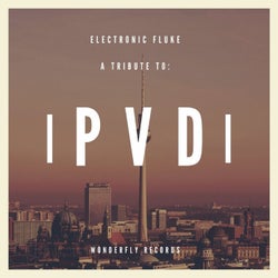 A tribute to Paul van Dyk