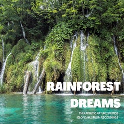 Rainforest Dreams