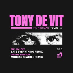 TDV25 Remix EP 3 (Eats Everything / Morgan Seatree)