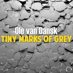 Tiny Marks of Grey